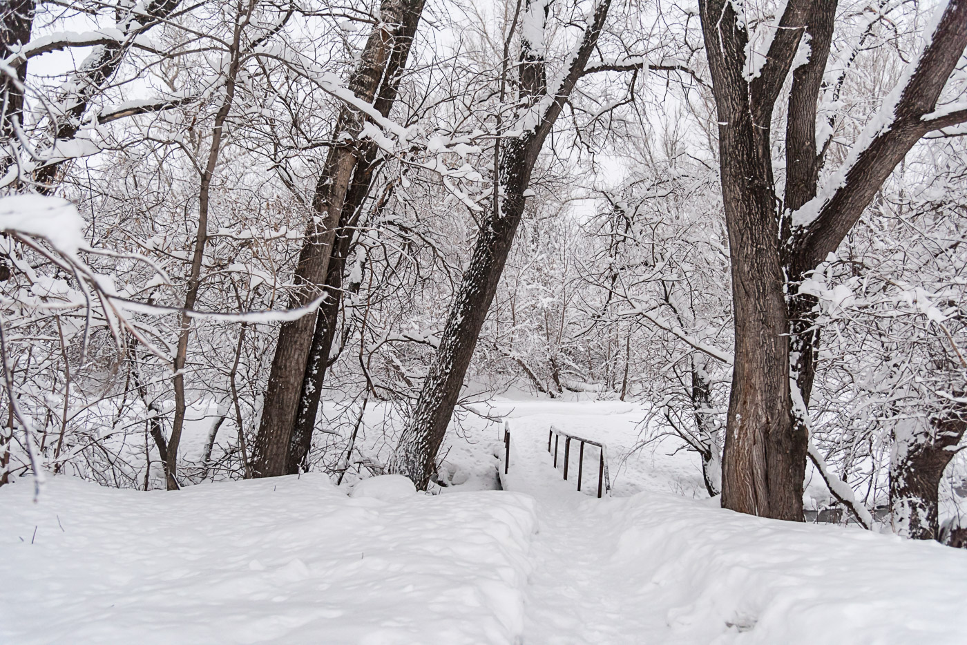 Вход в снежное царство...