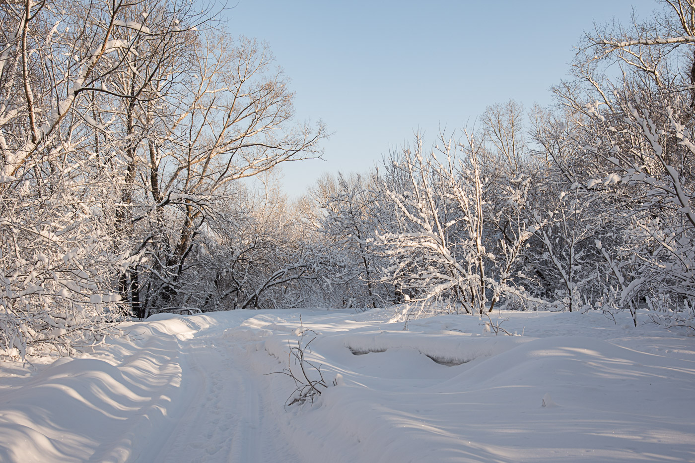 Мороз снежком укутывал...