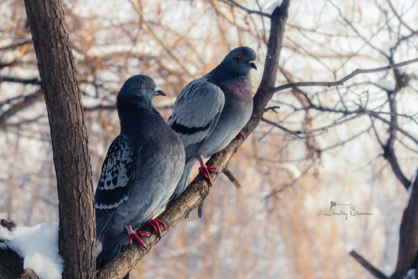 С первым днём весны!