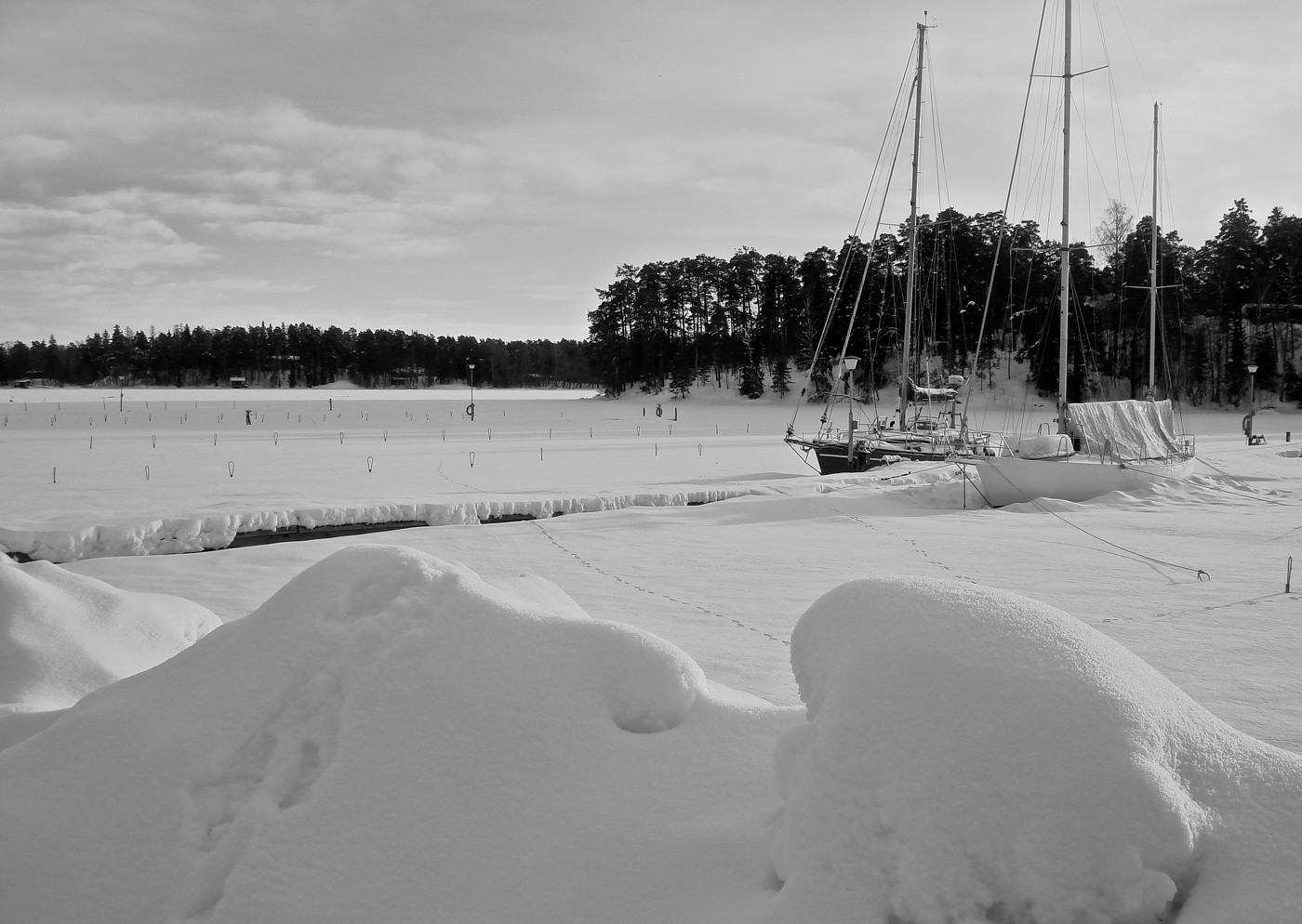 ПРОЗИМОВАЛИ