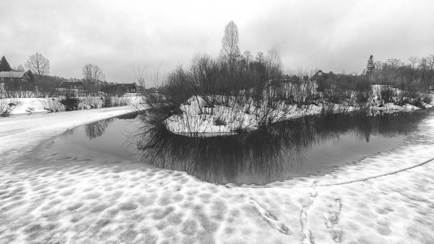 Жизнь вокруг