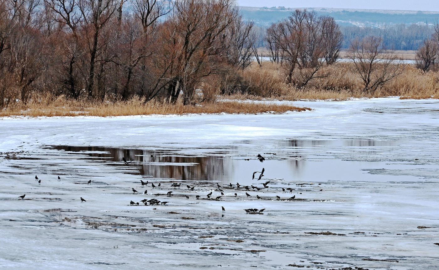 Первый день весны.