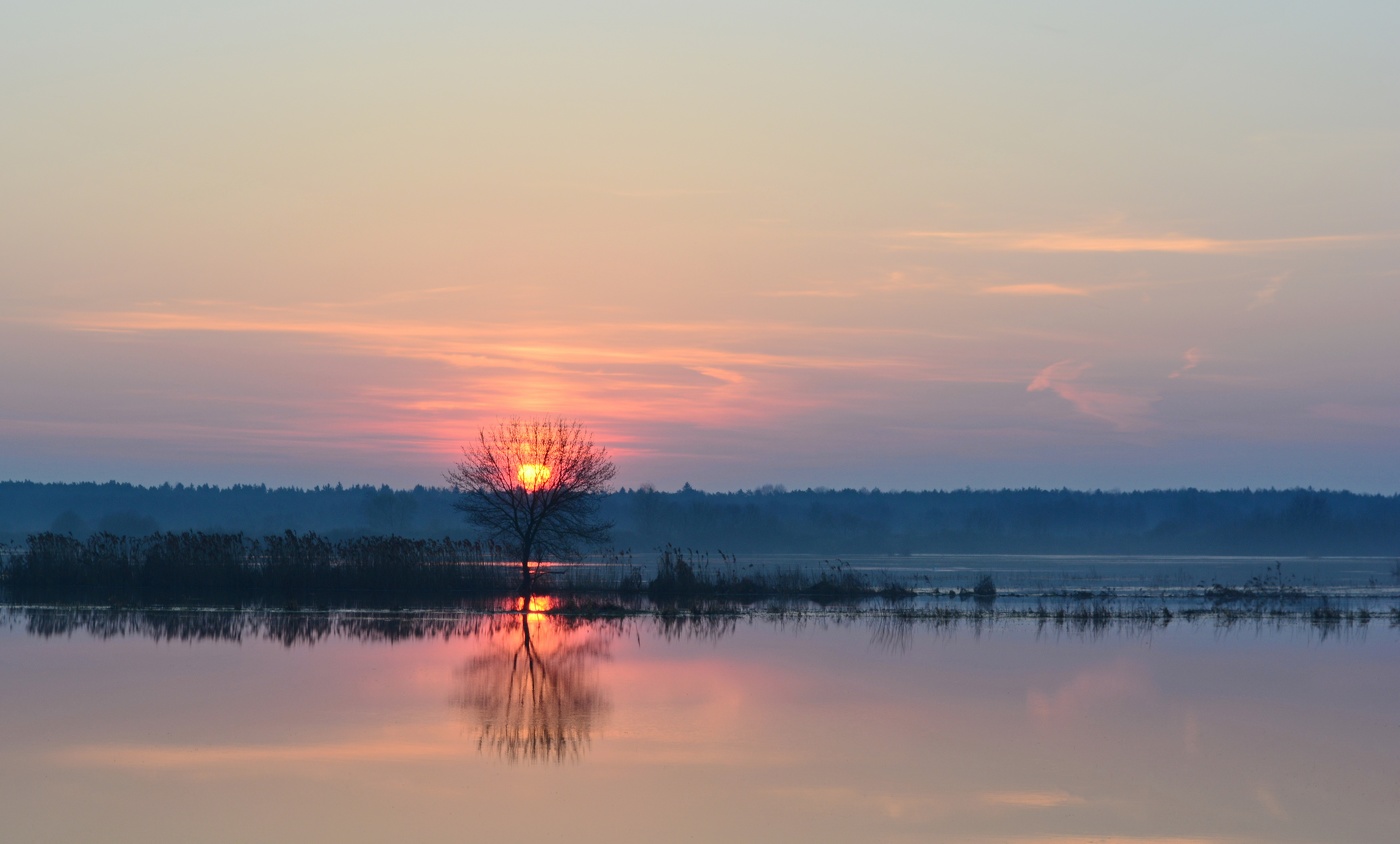 Весенний рассвет
