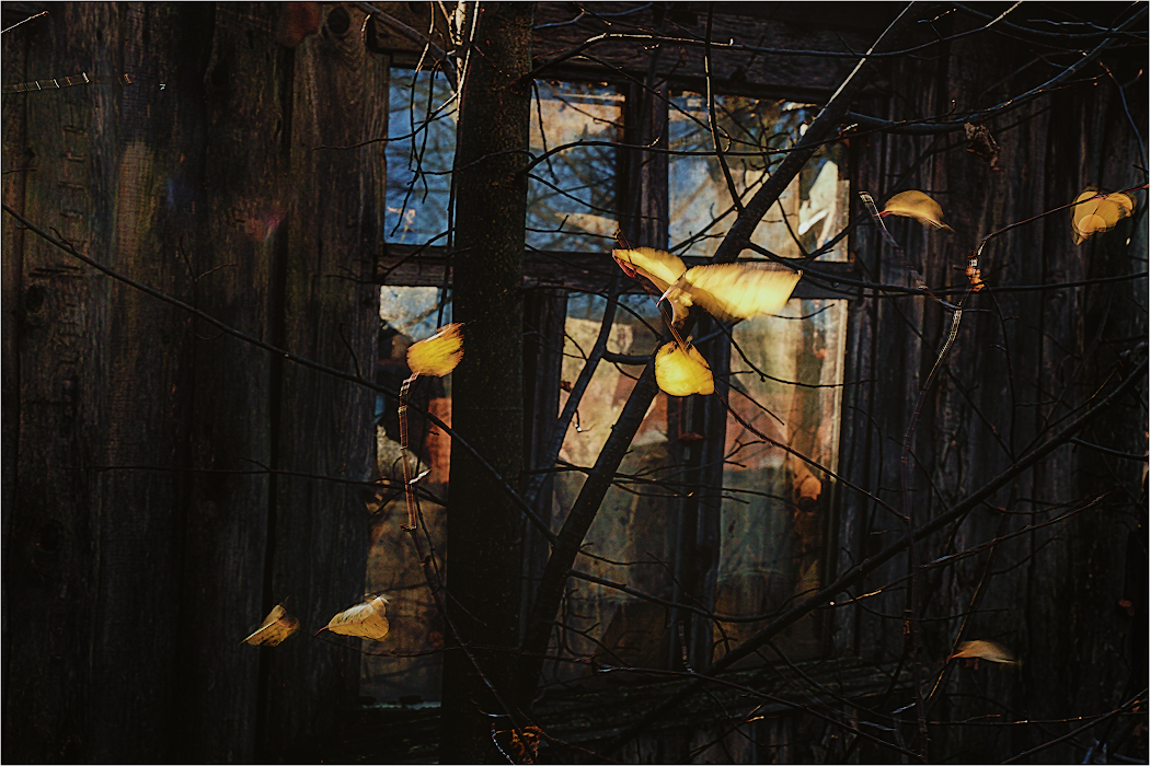 Флешмоб на тему «У природы нет плохой погоды». (№4)