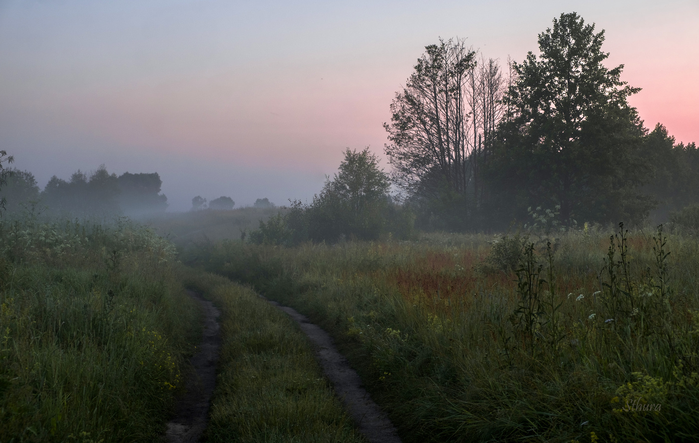 Утро в поле.