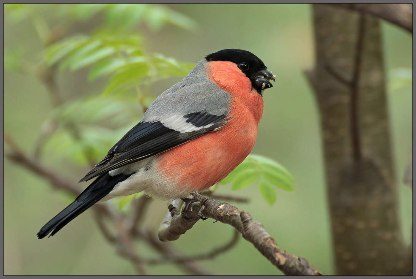 - Ничего, скоро начну худеть