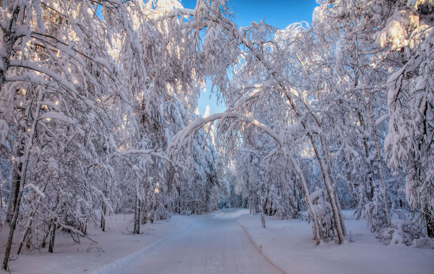 Снежная аллея