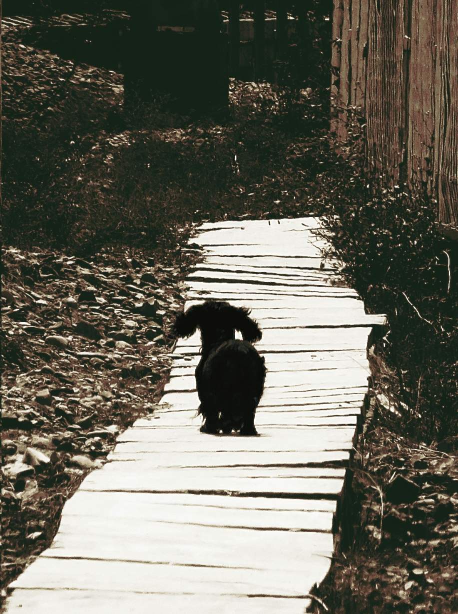 лучшее, конечно, впереди