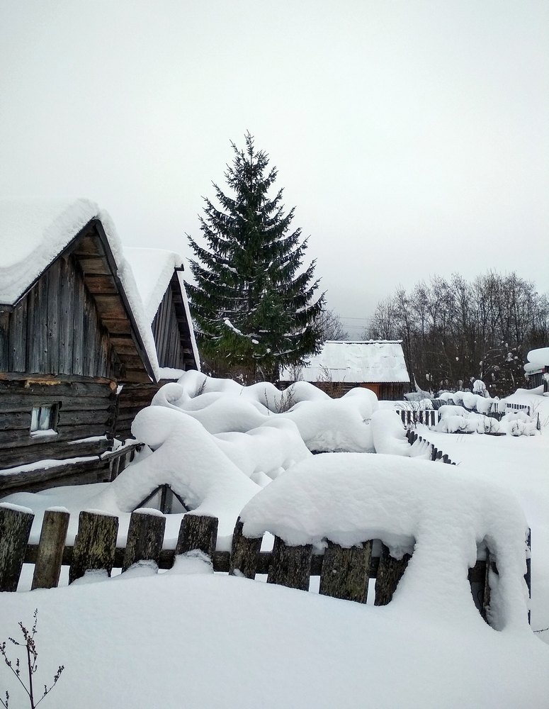 Зимний вечер в деревне...