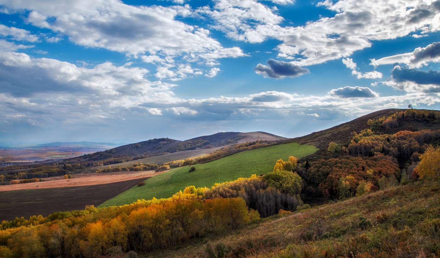 Осенняя палитра