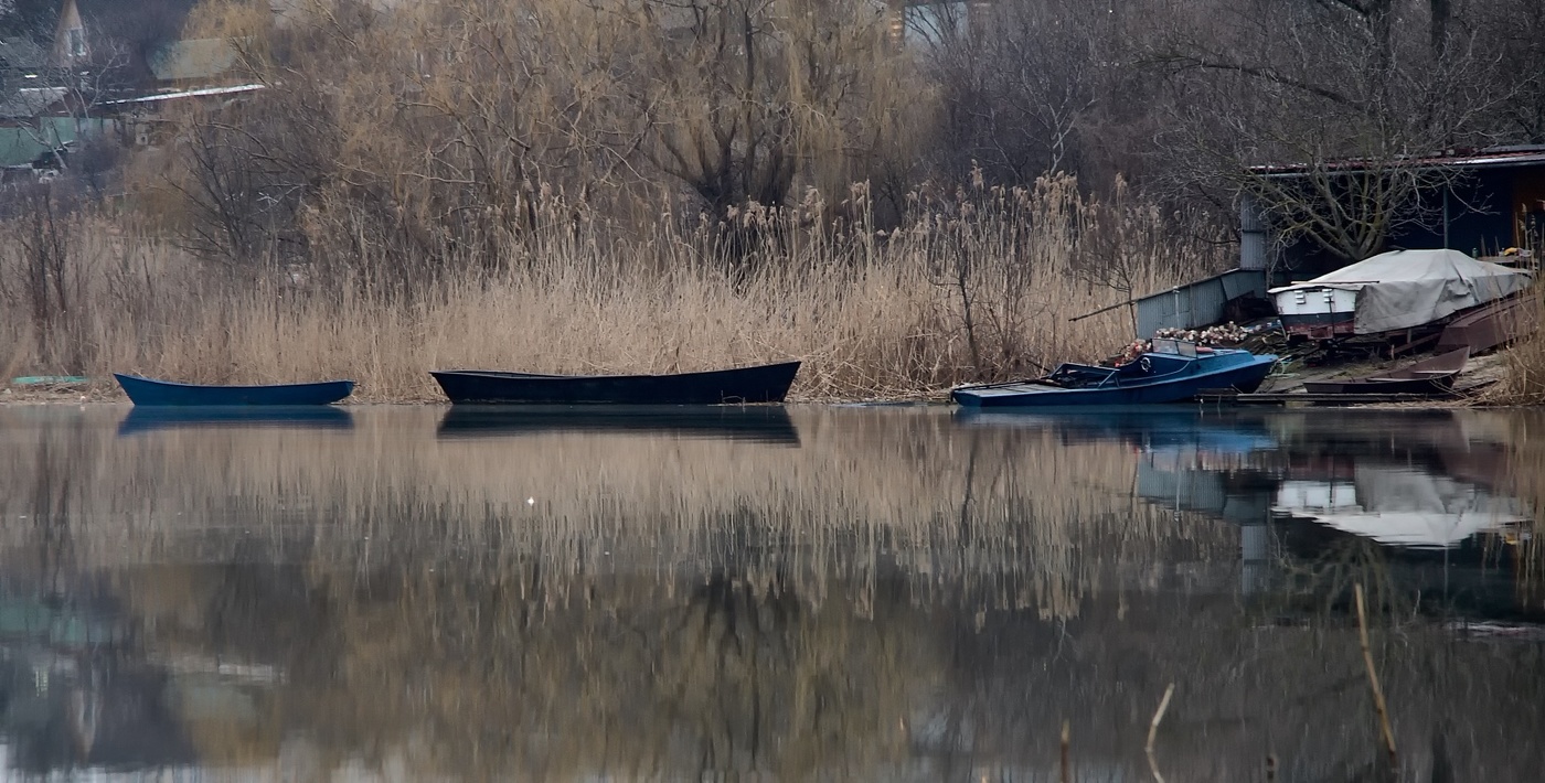 Прибрежной тишине