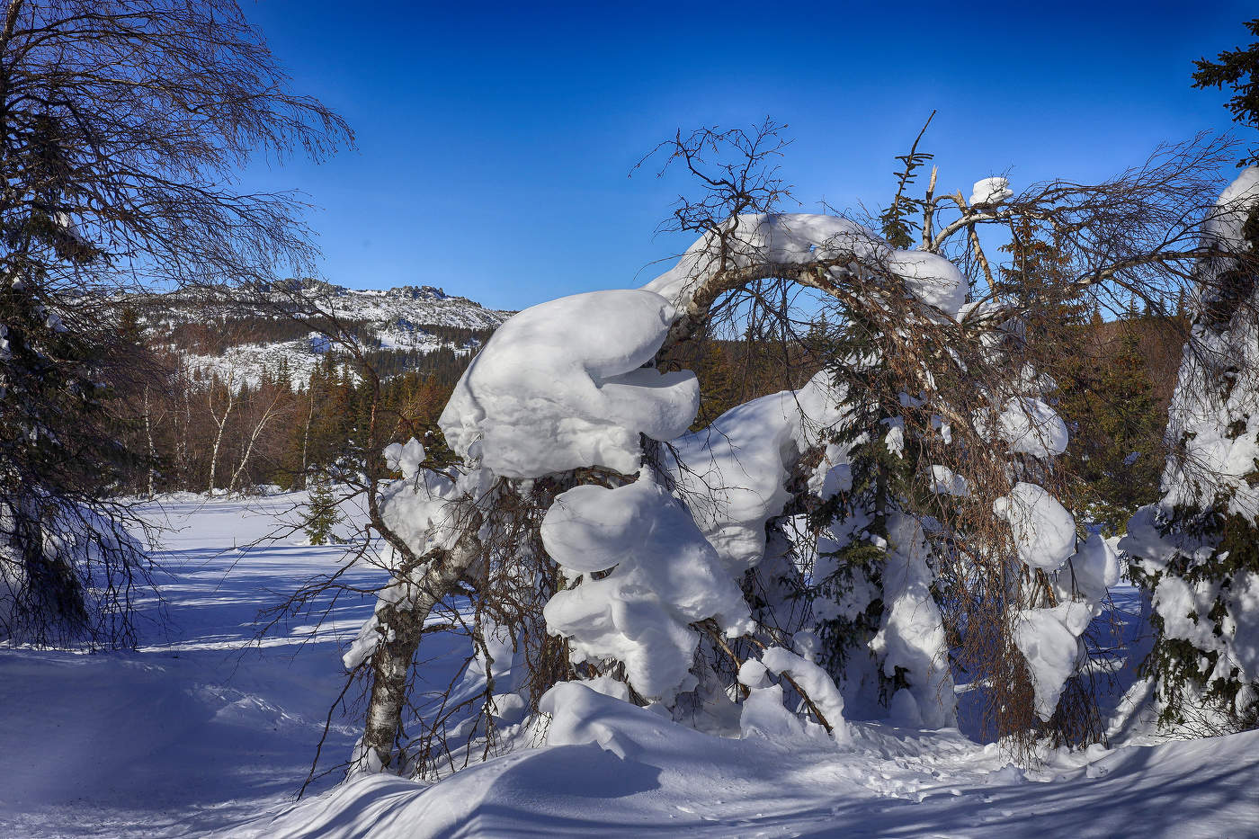 Метель-завируха наломала дров