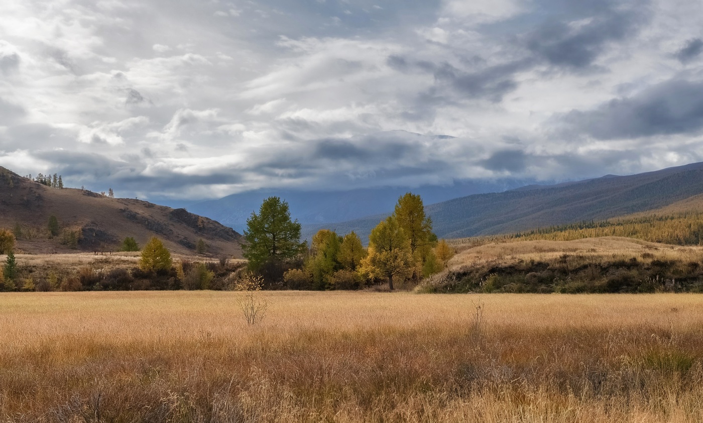 Утро на болоте