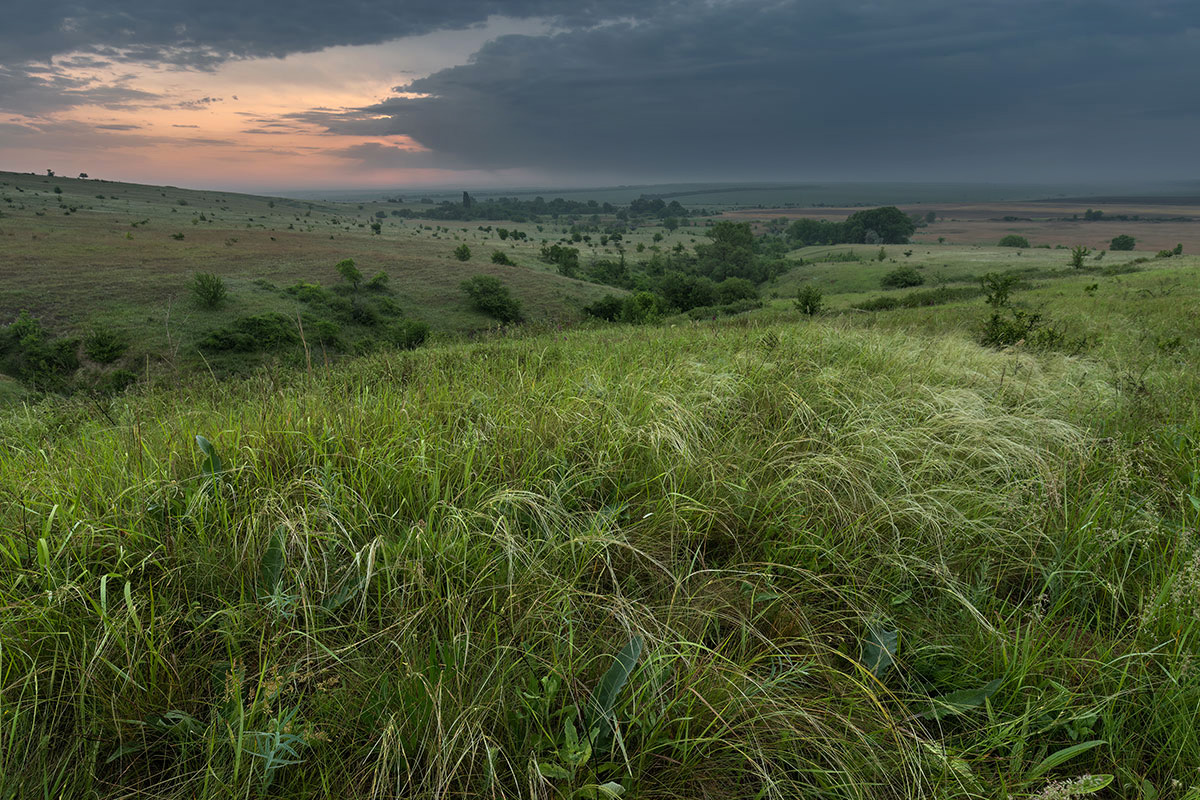 Степные картинки