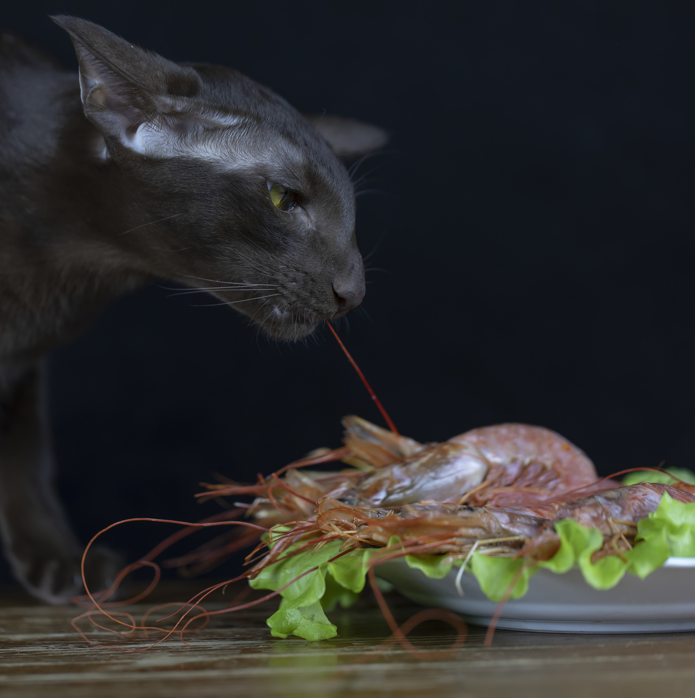 Ловись креветка большая и маленькая:)))