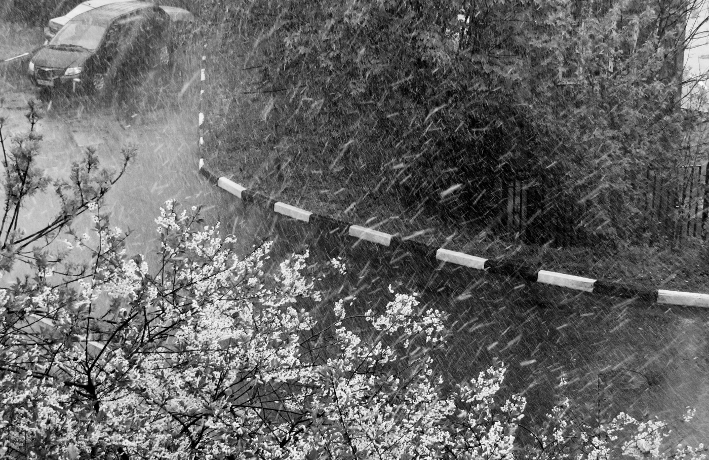 У природы нет плохой погоды.