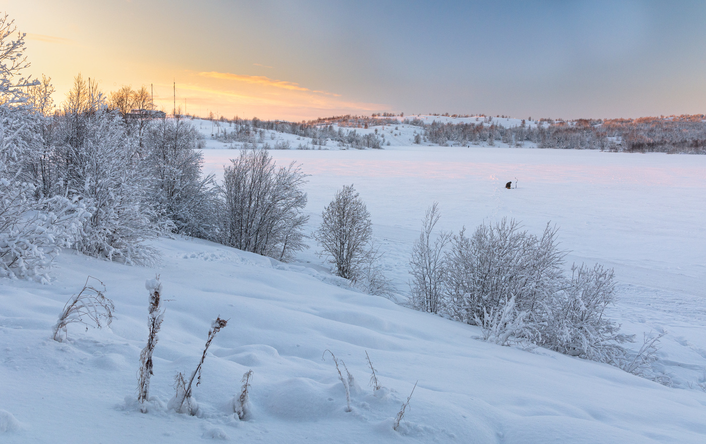 одинокий любитель
