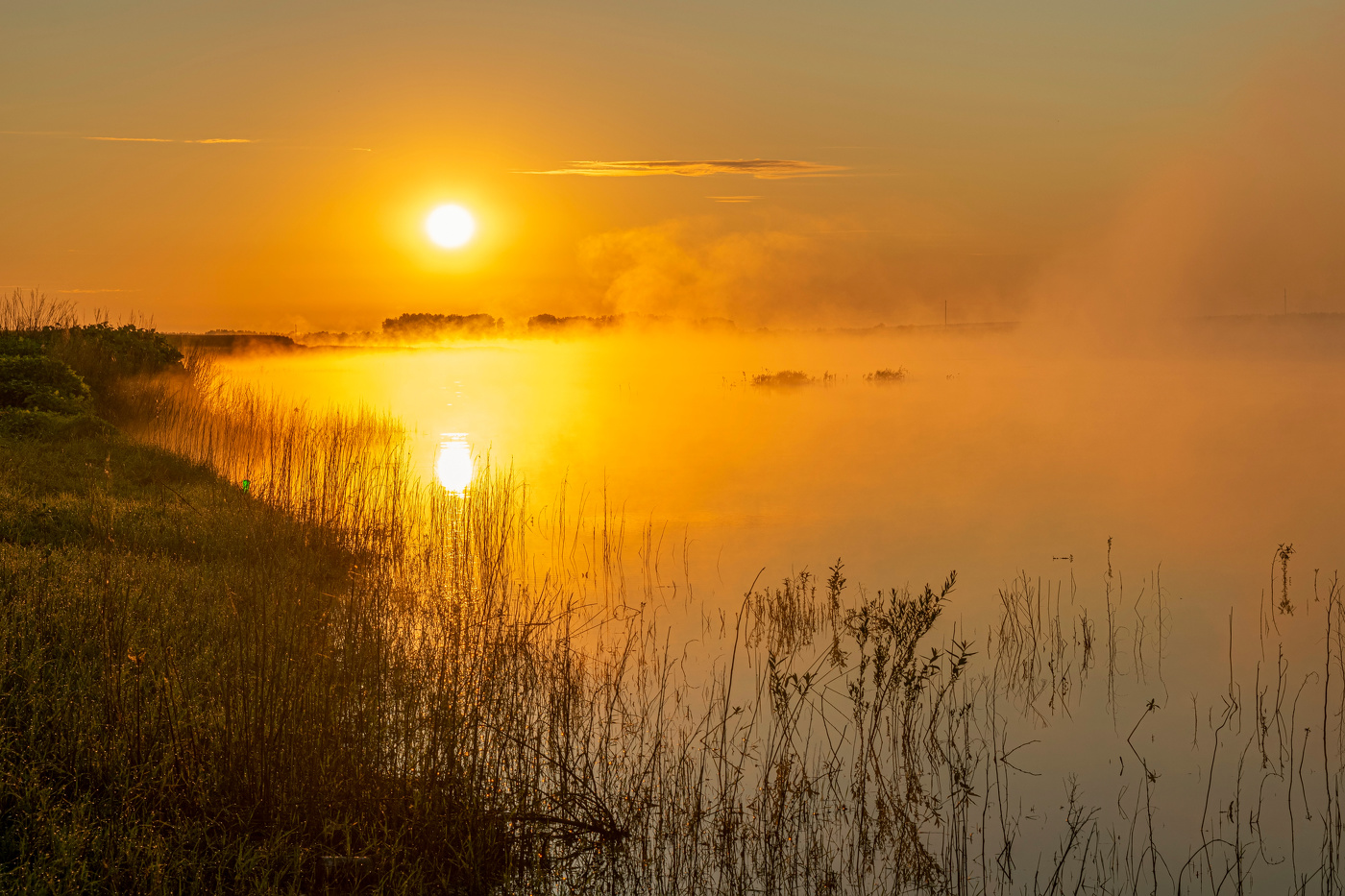июльским утром