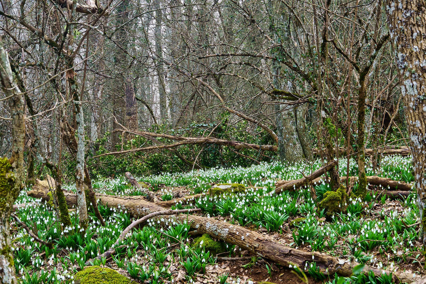 Март на вершине Аю-Дага