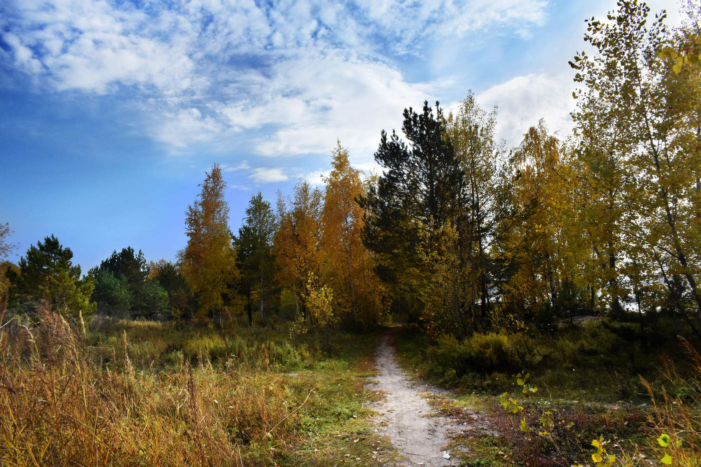 Макушка осени