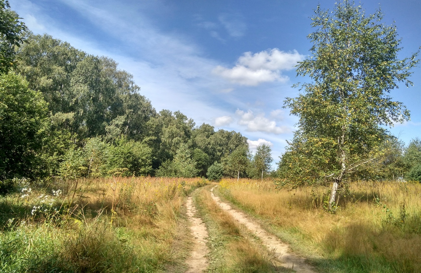 Август по грибы