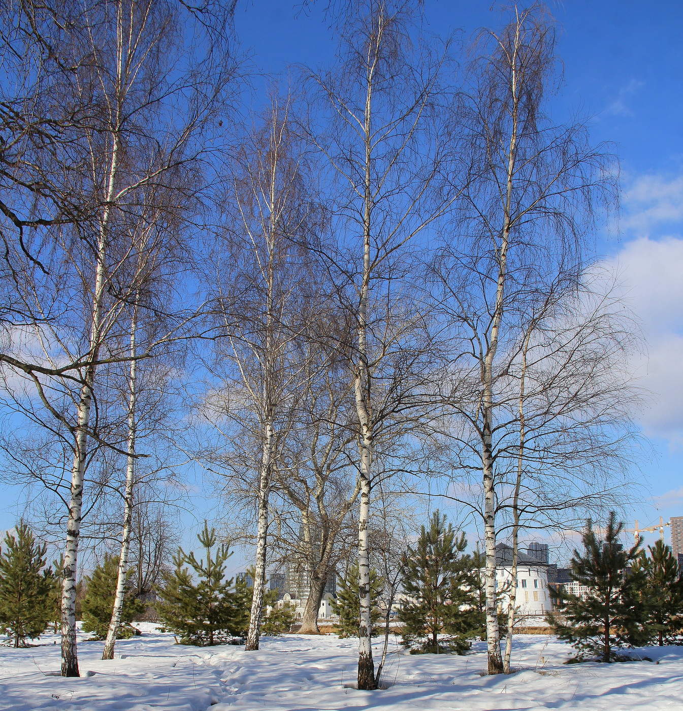 Дыхание весны!