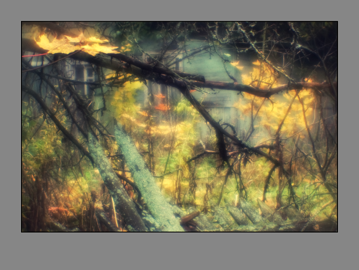 Флешмоб на тему «У природы нет плохой погоды». (№ 5)