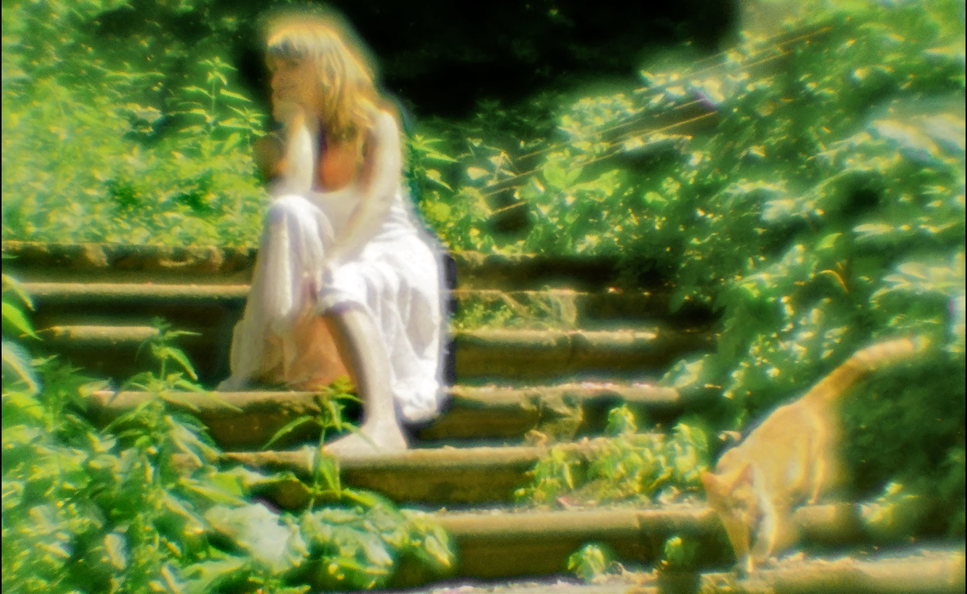 Парк. Рыжий кот. Наталья.