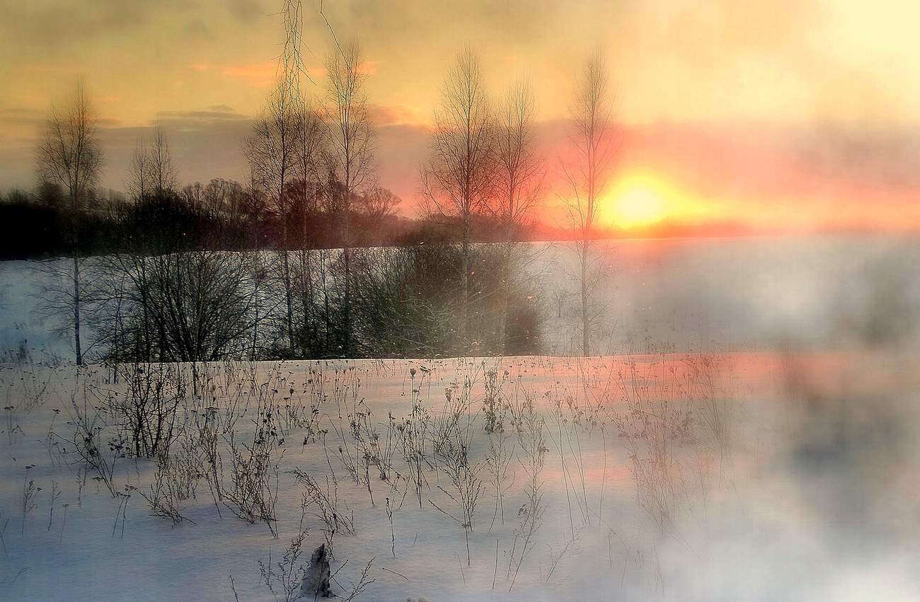 Туманно-морозное утро