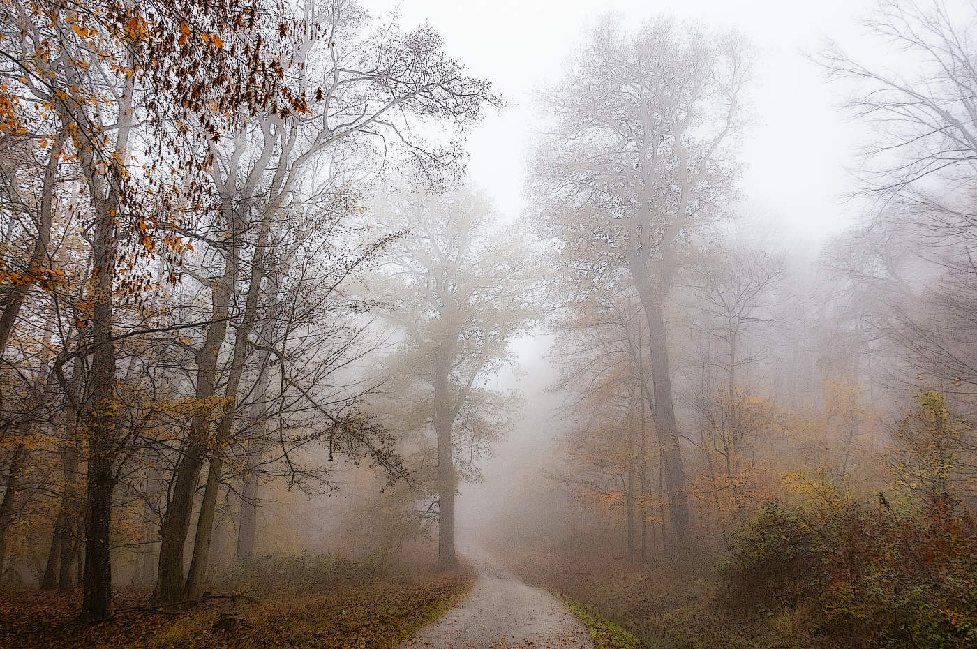 Осенний этюд