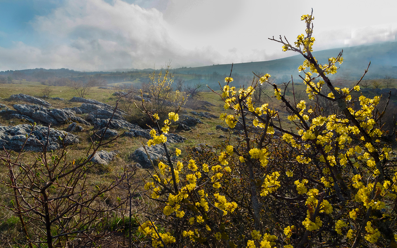 На рассвете