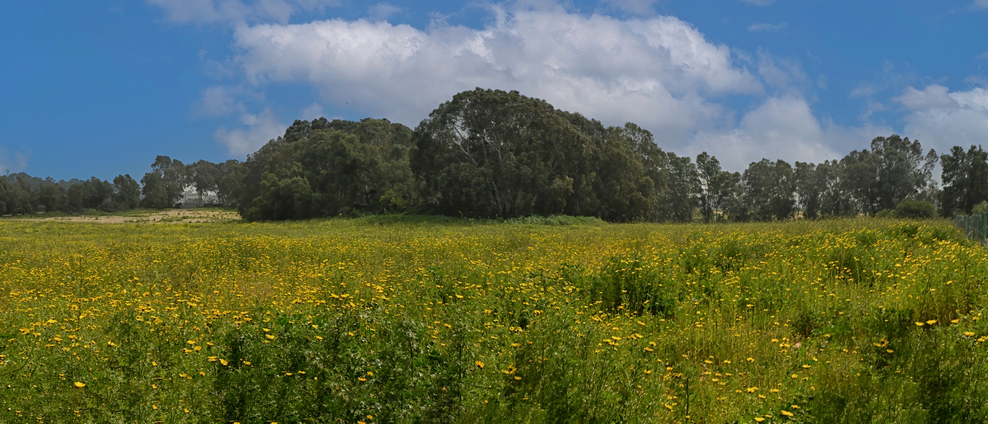 Пейзажная зарисовочка
