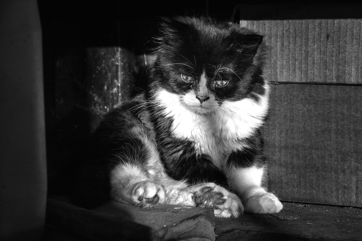 Жизнь вокруг