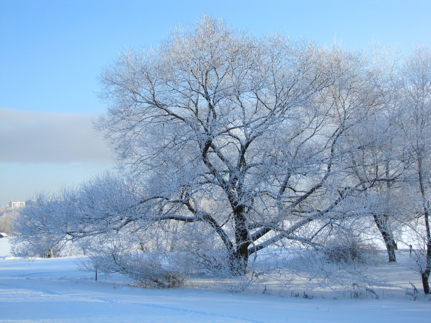 Зимний пейзаж.