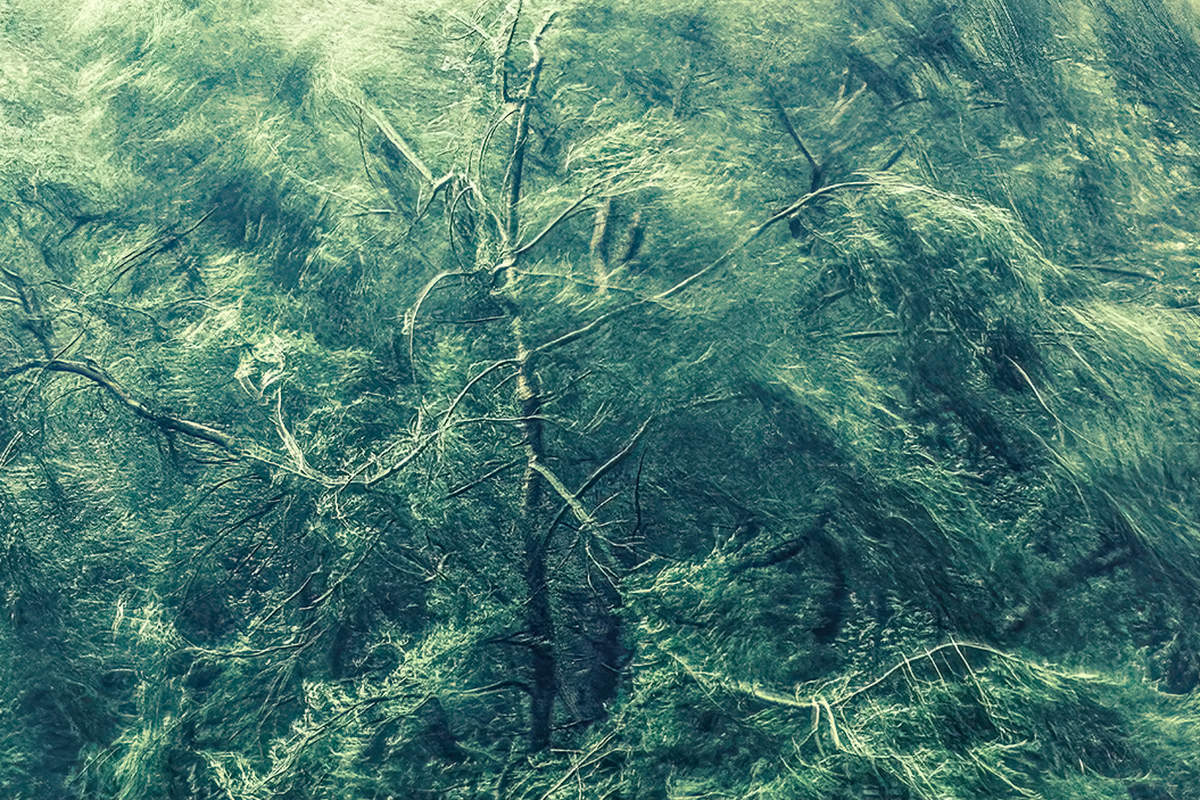 Флешмоб на тему «У природы нет плохой погоды». (№ 5)