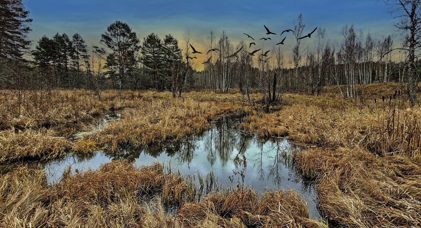 Ноябрьский пейзаж.