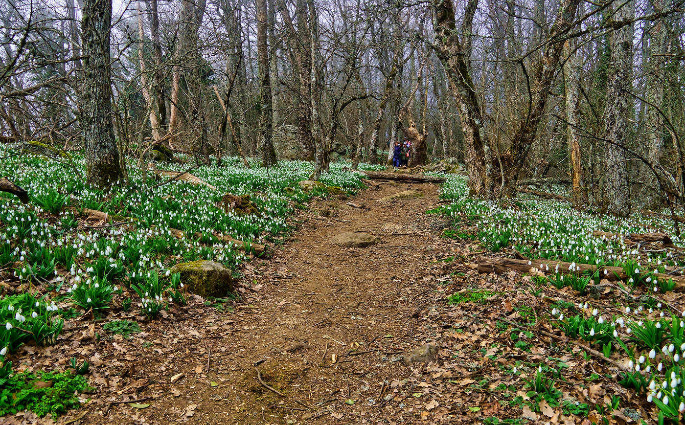 Аю-Даг. Вершина