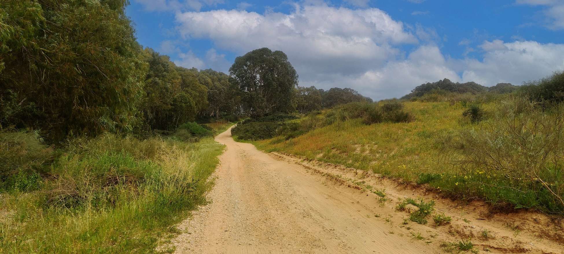 Летнее настроение