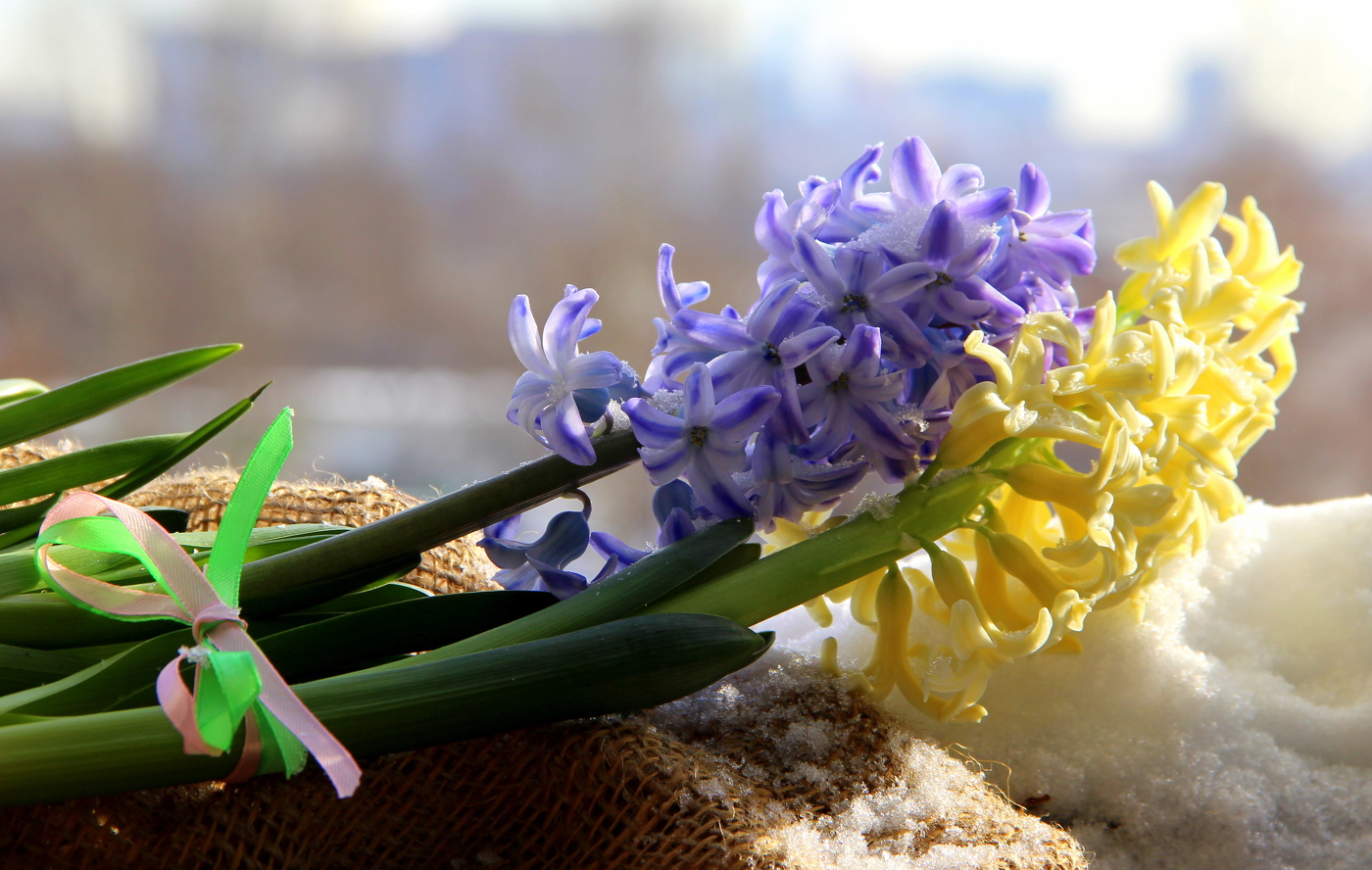 Весеннее настроение!