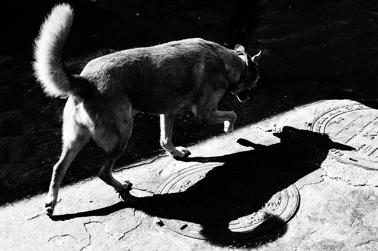 По грани света и тени