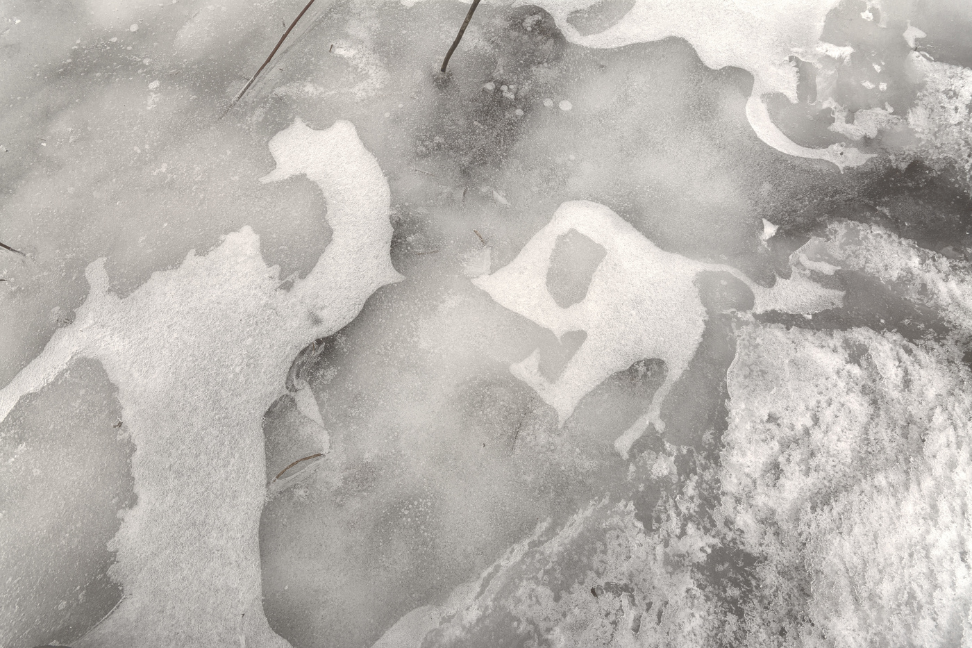 Жизнь вокруг