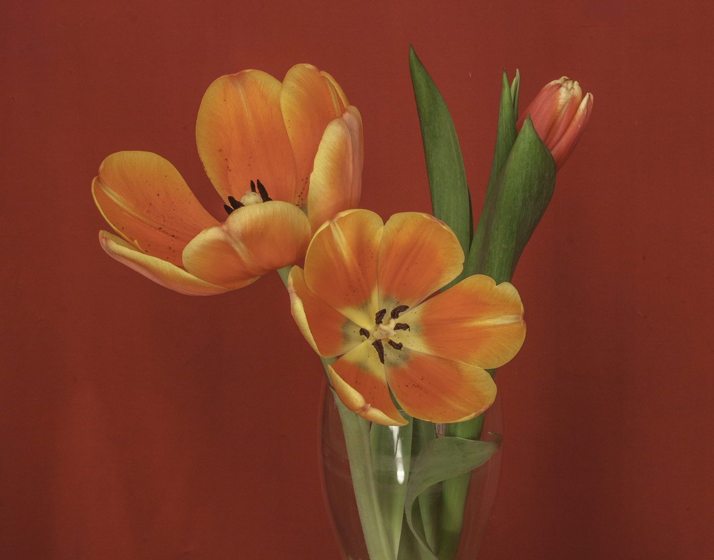 С праздником дорогие женщины!