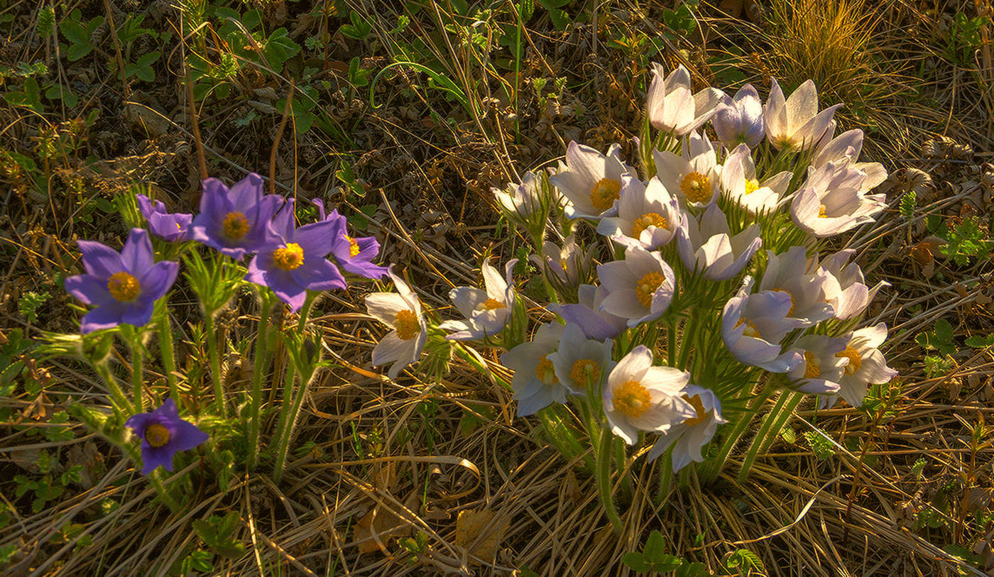 С праздником!