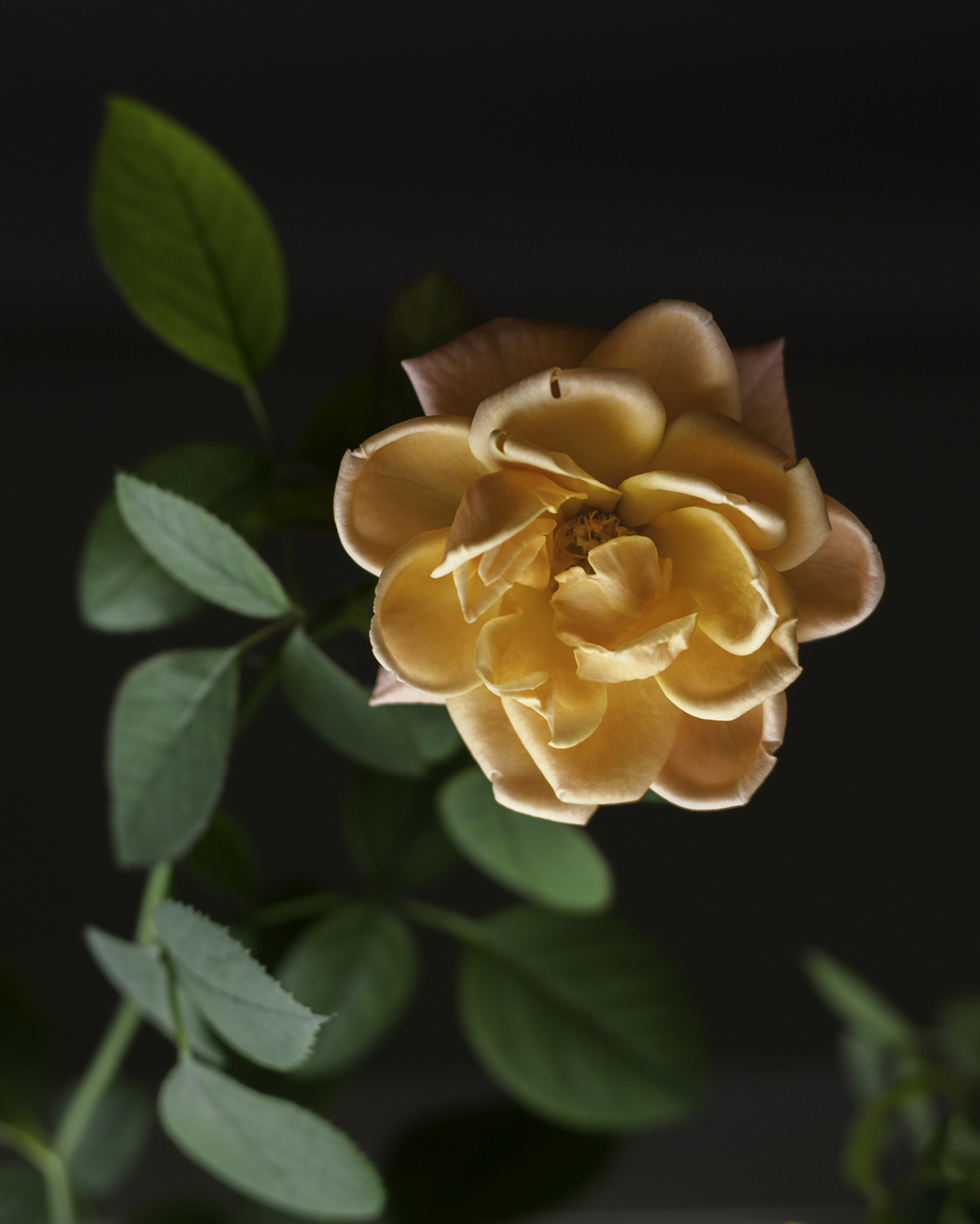 С праздником!