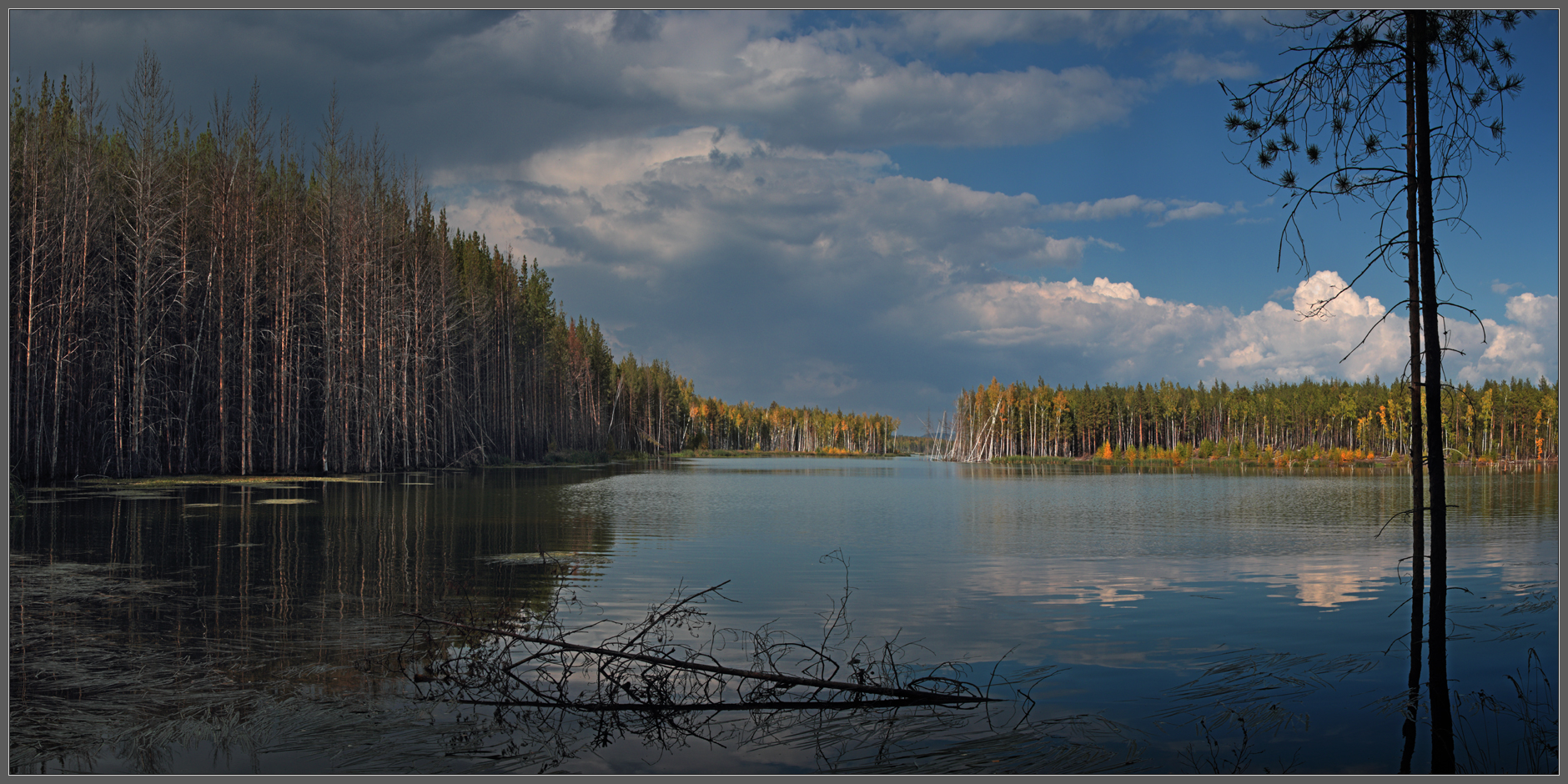 Мертвая вода