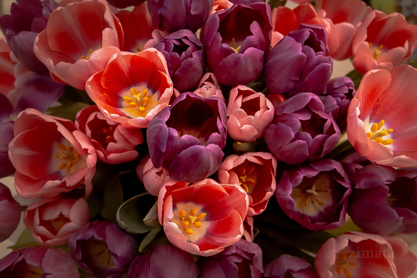 ну праздник же