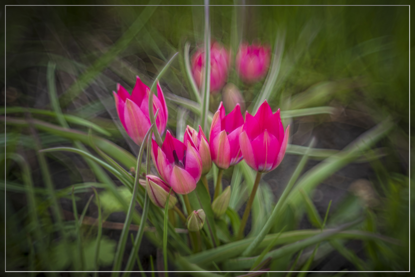 С праздником дорогие женщины!