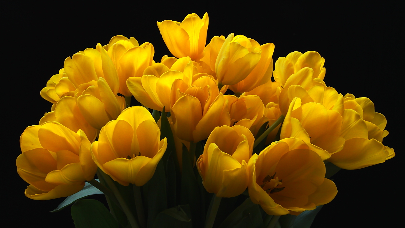 С Днём 8 Марта, милые наши Богини !!!