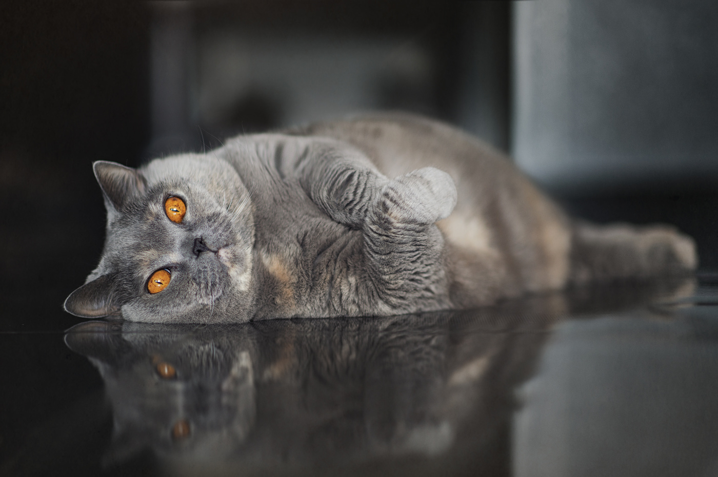 Когда хочется поесть чего-то жирненького, а дома из жирненького только ты