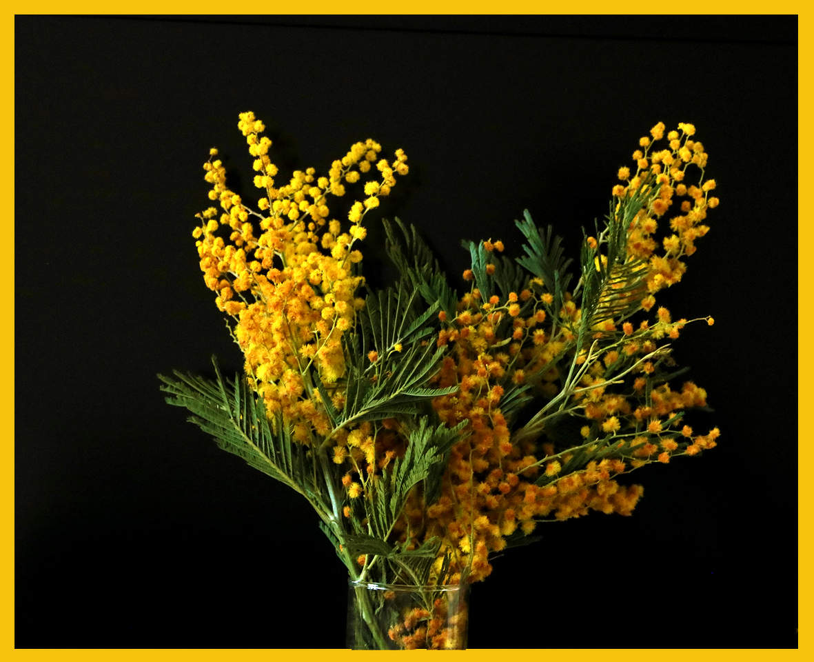 С праздником, дорогие женщины, с 8 марта!